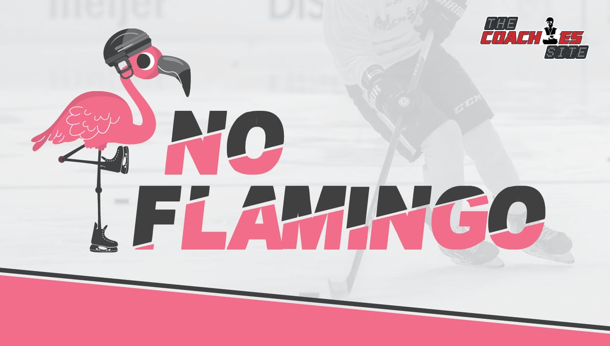 No Flamingo